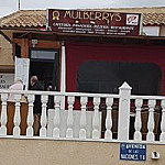 Mulberrys