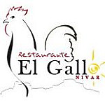 El Gallo