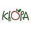 Klopa