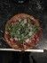 Thunfischpizza
