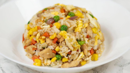 Pork/ Chicken/ Vegetable Fried Rice (Large)