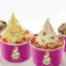 Family Froyo Pack