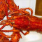 Lobster Langosta