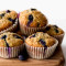 Bluebeery Muffins