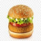 T2C Paneer Burger