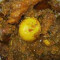 Mutton With Egg