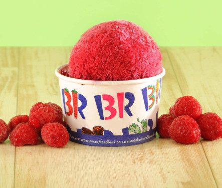 Himbeersorbet (Vegan)