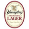 3. Traditional Lager