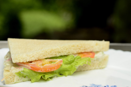 Vegetable Sandwich 1 Pc