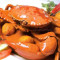 Crab Kalia (1 Pos)