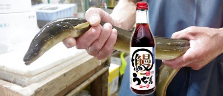 Anguille du Japon