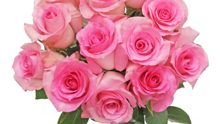 Debi Lilly Dozen Pink Rose Bouquet (Pink)