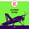 7. Atomic Punk