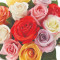 Rainbow Roses 12 Count Bouquet