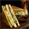 Gegrilltes Doppeldecker-Mumbai-Masala-Sandwich