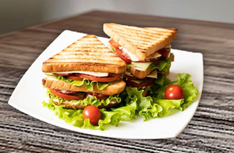 Veggies Heaven Grilled Sandwich