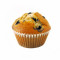 Muffins-Blueberry Muffin