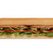 Veggie Patty Subway Footlong Reg