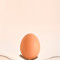 Boiled Egg[5Egg]