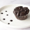 Chocolate Stud Muffin