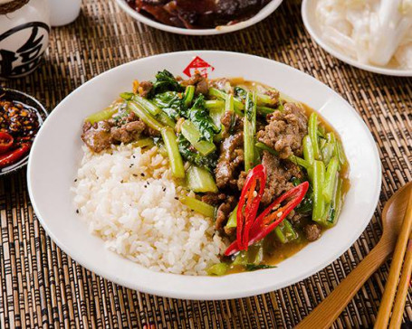 牛肉燴飯 Stewed Beef Rice
