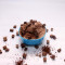 Chocolate Chips Shrikhand