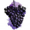 Sour Concord Grape