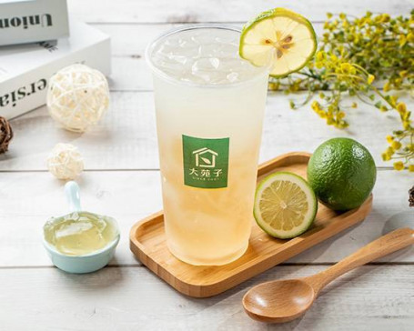 Níng Méng Ài Yù Dà Bēi Lemon Aiyu Large