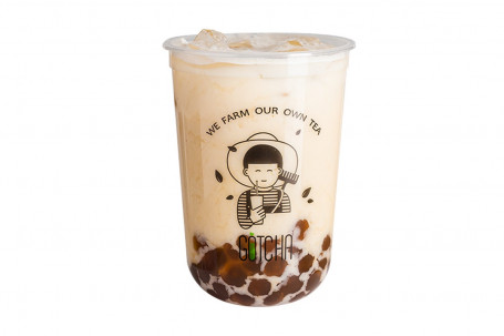 Barley Green Golden Pearl Milk Tea