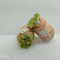 Puff Cannoli Pistachio