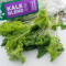 Kale Blend