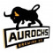 Aurochs Session Ipa