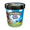 Ben Jerry's Triple Caramel Chunk Pint