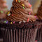 Chocolate cupcake.