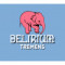 18. Delirium Tremens