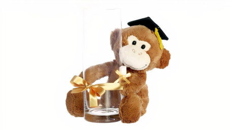 Graduation Monkey Vase Hugger 10