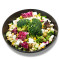 Saladology Bowl (klein, vegetarisch)