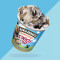 Ben Jerry's S'wich Up