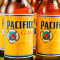 Eimer Pacifico (5 Biere)