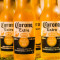 Eimer Corona (5 Biere)