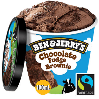 Ben Jerry's Shorties Chocolate Fudge Brownie