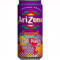 Arizona Fruit Punch Juice Can