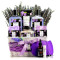 Aromatherapie-Lavendel-Flieder-Spa-Geschenkset