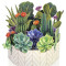 Paper Bouquet Cactus Garden