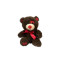 Brown Teddy Bear Red Details