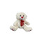 White And Red Teddy Bear