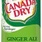 Ginger Ale Can (12oz)