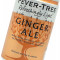 Fever Tree Light Ginger Ale (8x150ml Dosen)