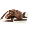 Brownie-Keks [140,0 Kalorien]