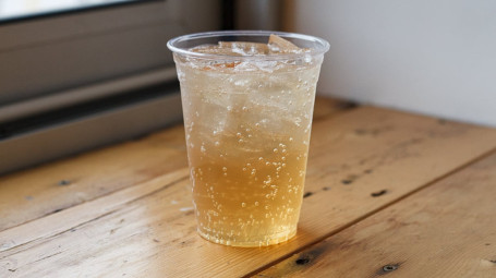 Cane Sugar Fountain Soda: Gingerale